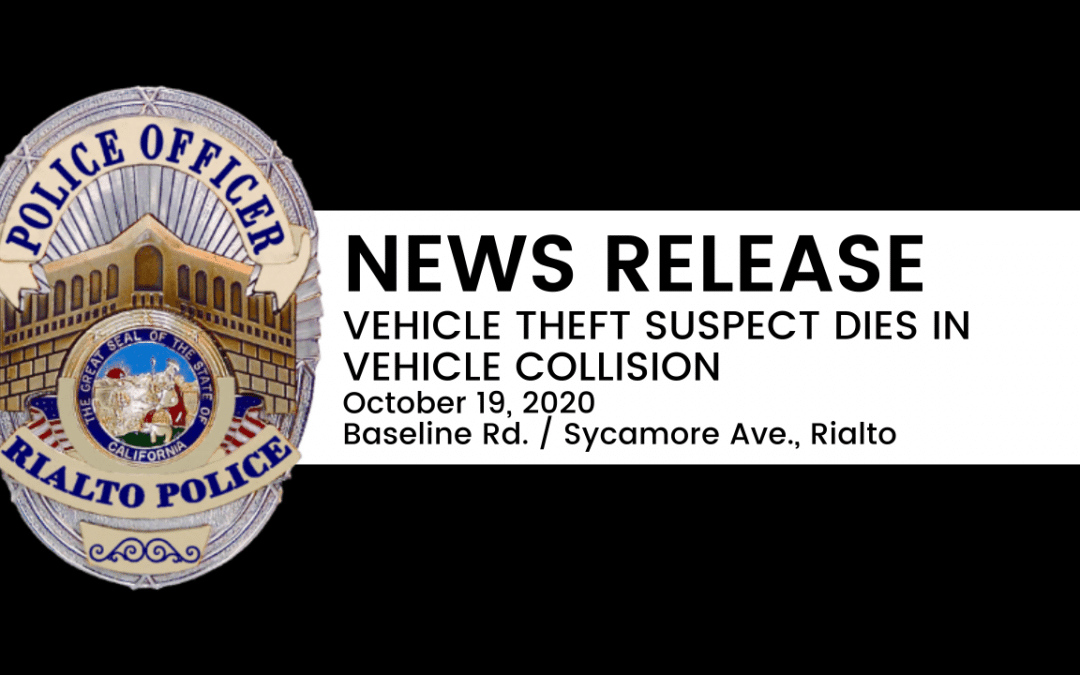 Vehicle Theft Suspect Dies in Vehicle Collision